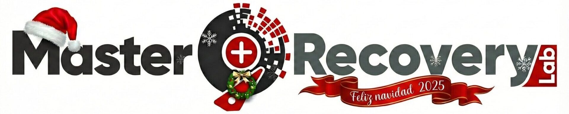 Recuperación Profesional de Datos Logo